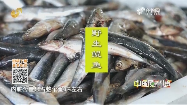 20201007《中国原产递》：鱼酿酱油