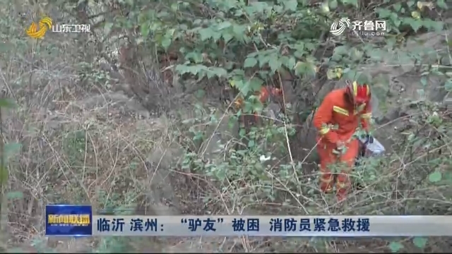 【双节假期】临沂 滨州：“驴友”被困 消防员紧急救援