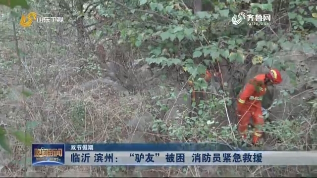 【双节假期】临沂 滨州：“驴友”被困 消防员紧急救援