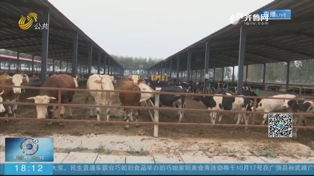 聊城东昌府区：养殖场已入驻 正在扩建