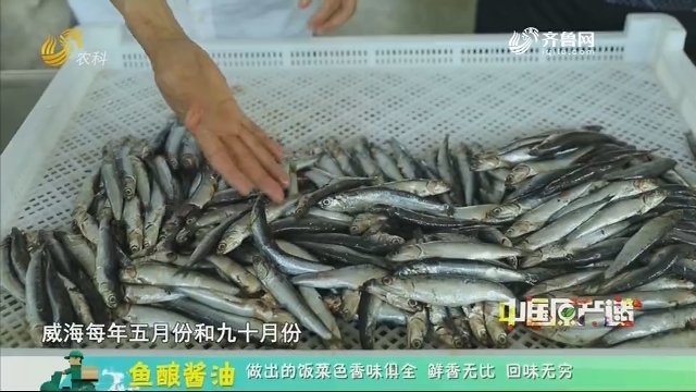 20201018《中国原产递》：鱼酿酱油