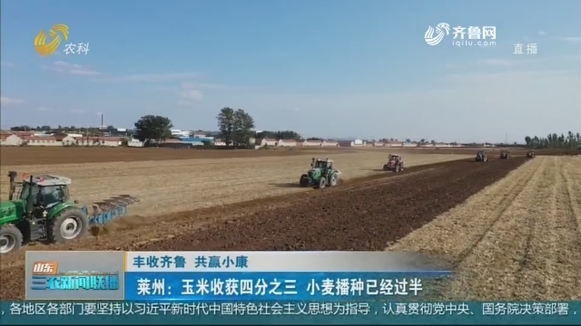 【丰收齐鲁 共赢小康】莱州：玉米收获四分之三 小麦播种已经过半