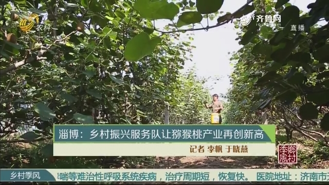 淄博：乡村振兴服务队让猕猴桃产业再创新高