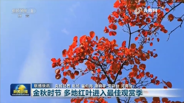 【联播快讯】金秋时节 多地红叶进入最佳观赏季