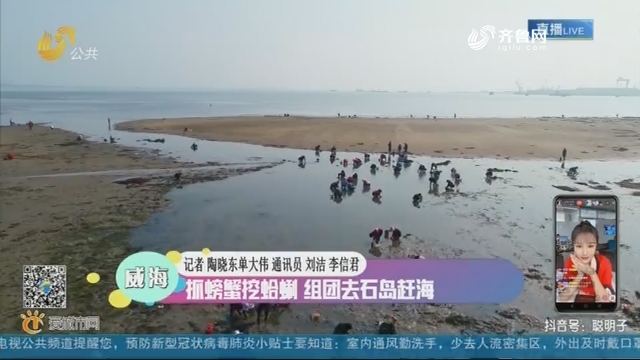 威海：抓螃蟹挖蛤蜊 组团去石岛赶海