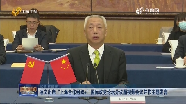 凌文出席“上海合作组织+”国际政党论坛分议题视频会议并作主题发言