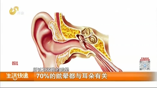 70%的眩晕都与耳朵有关