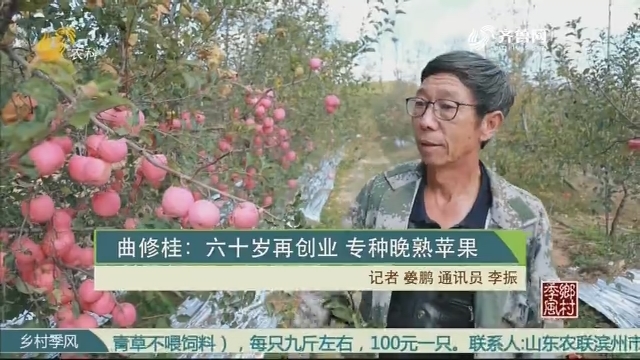 曲修桂：六十岁再创业 专种晚熟苹果