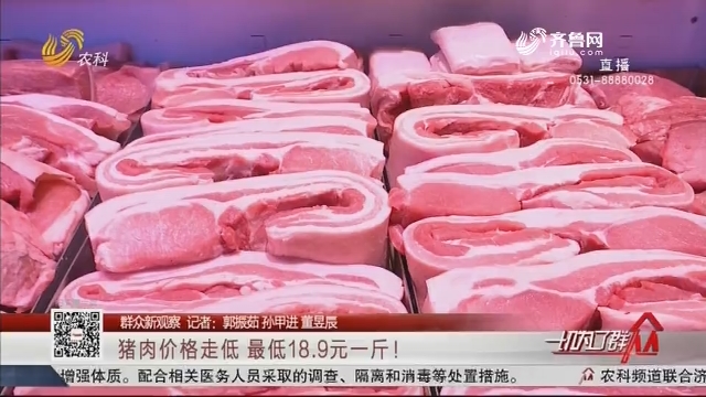 【群众新观察】猪肉价格走低 最低18.9元一斤！