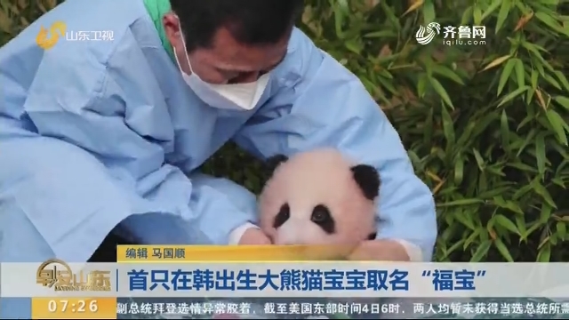 首只在韩出生大熊猫宝宝取名“福宝”
