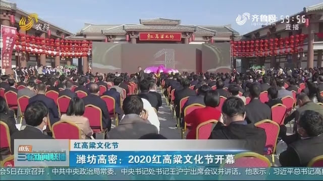 【红高粱文化节】潍坊高密：2020红高粱文化节开幕