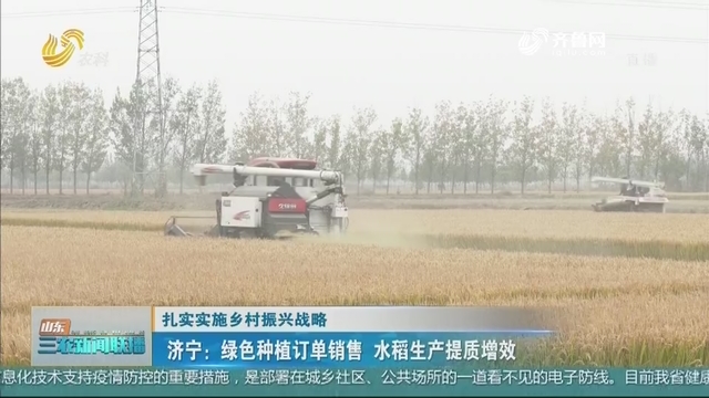 【扎实实施乡村振兴战略】济宁：绿色种植订单销售 水稻生产提质增效