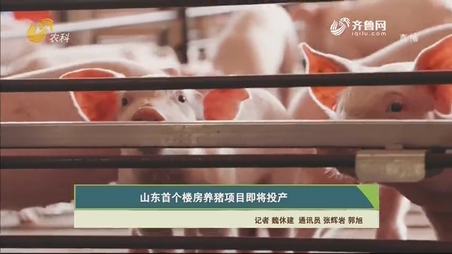 【齐鲁畜牧】山东首个楼房养猪项目即将投产