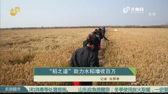 “稻之道”助力水稻增收百万