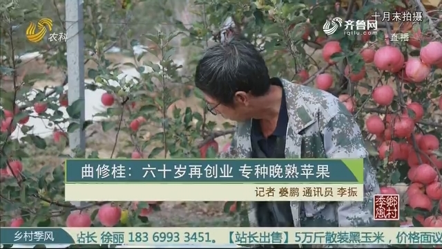 曲修桂：六十岁再创业 专种晚熟苹果