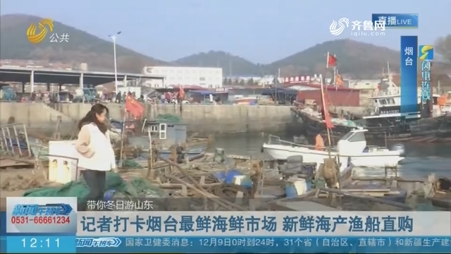 【带你冬日游山东】记者打卡烟台最鲜海鲜市场 新鲜海产渔船直购