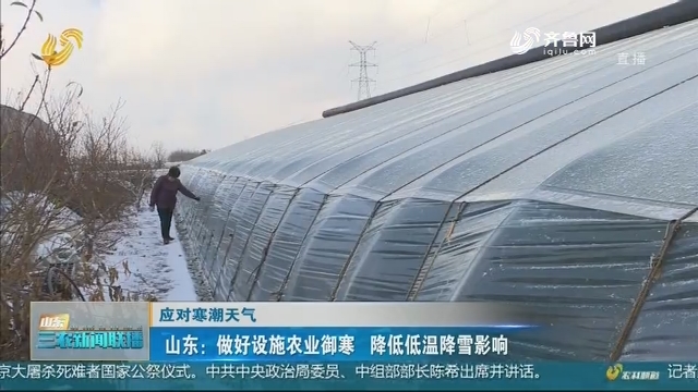 【应对寒潮天气】山东：做好设施农业御寒 降低低温降雪影响