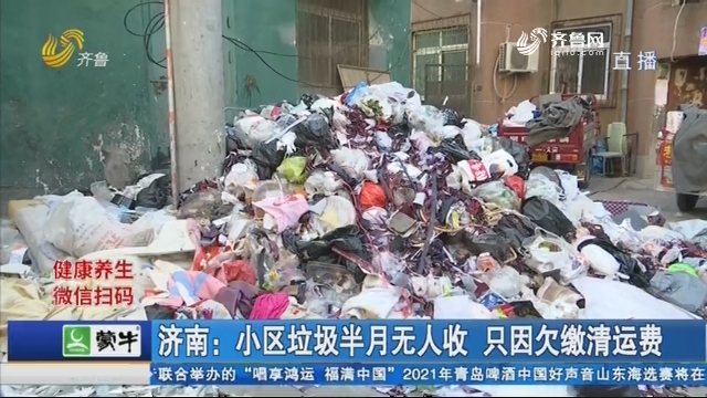 济南：小区垃圾半月无人收 只因欠缴清运费