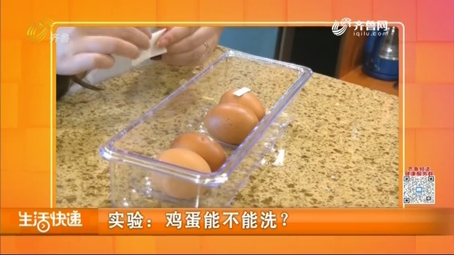 实验：鸡蛋能不能洗？