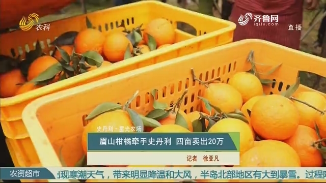 【史丹利·星光农场】眉山柑橘牵手史丹利 四亩卖出20万