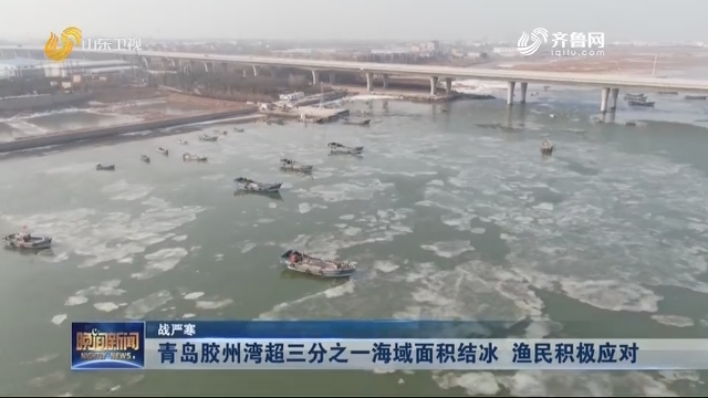 【战严寒】青岛胶州湾超三分之一海域面积结冰 渔民积极应对