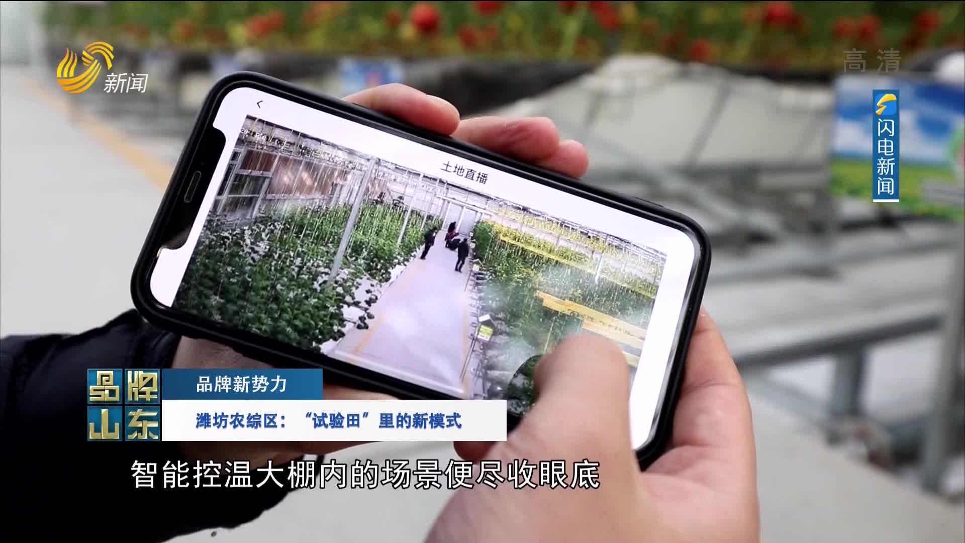 【品牌新势力】潍坊农综区：“试验田”里的新模式