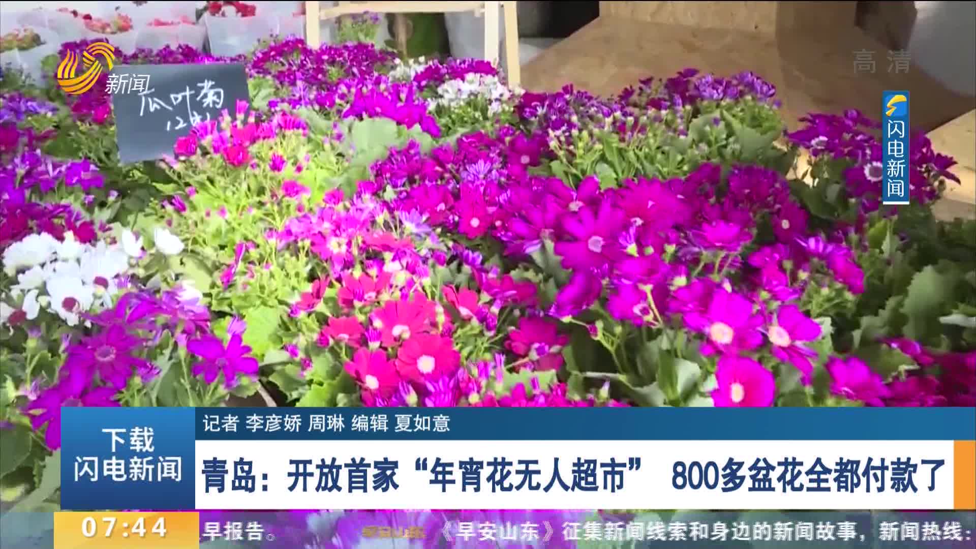 青岛：开放首家“年宵花无人超市” 800多盆花全都付款了