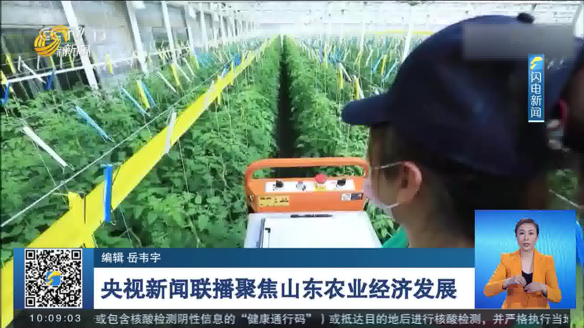 央视新闻联播聚焦山东农业经济发展