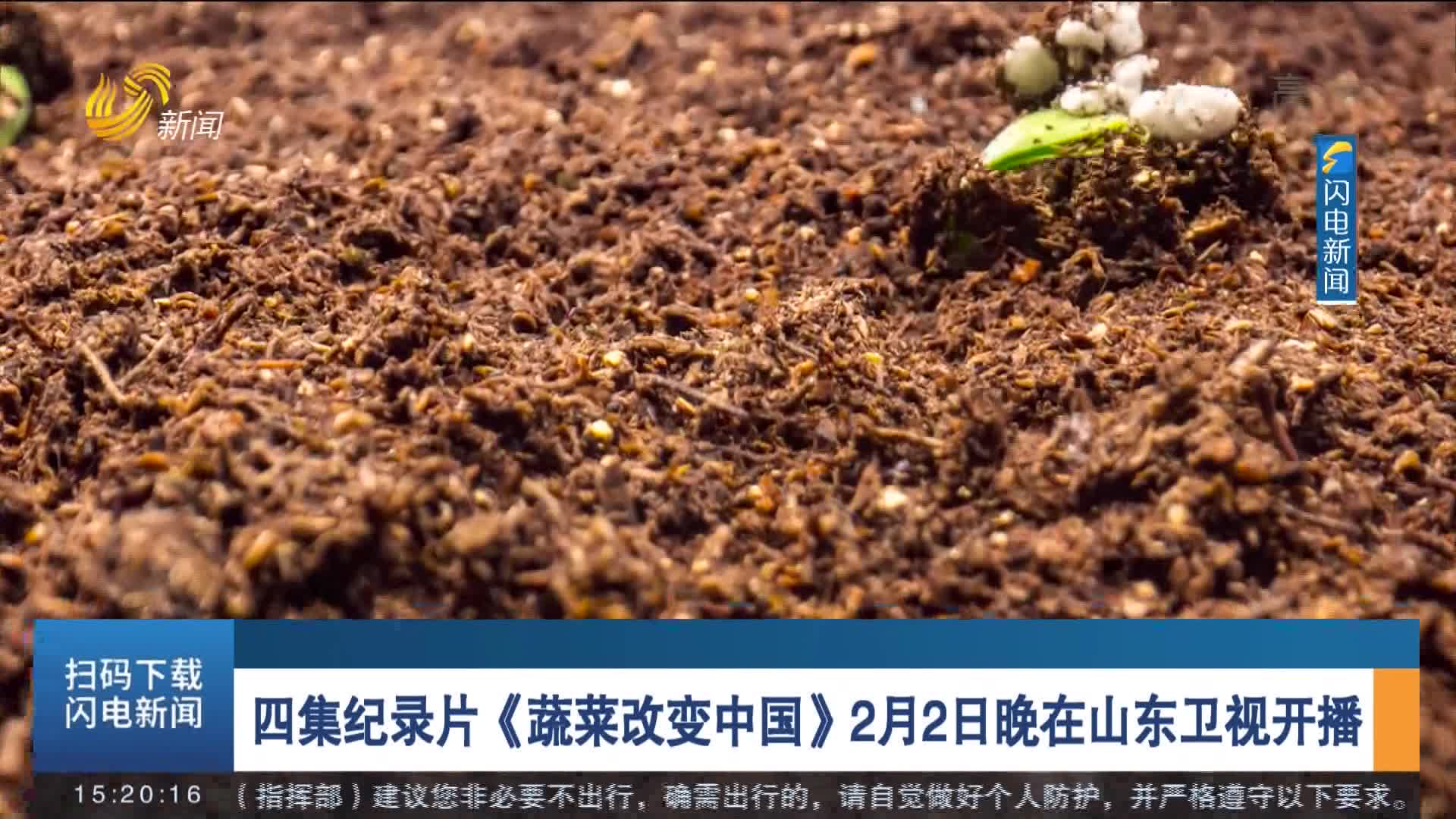 四集纪录片《蔬菜改变中国》2月2日晚在山东卫视开播