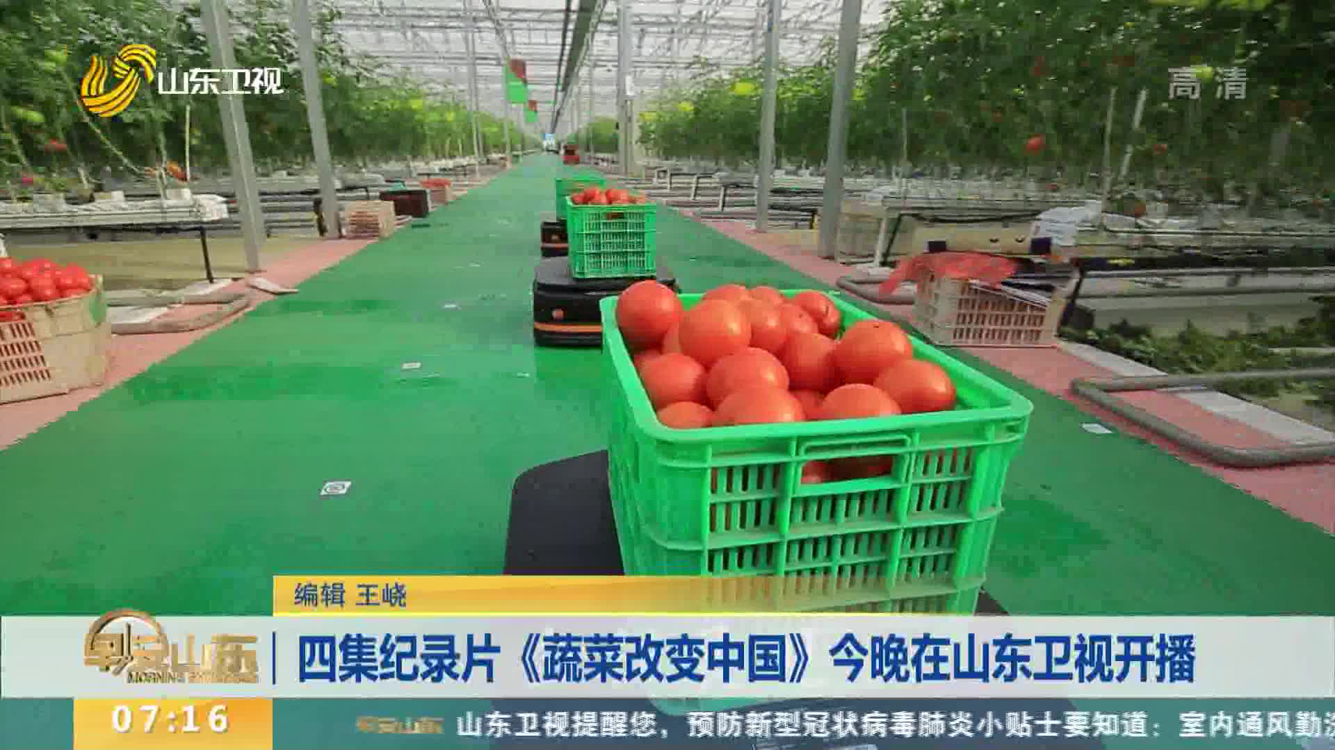 四集纪录片《蔬菜改变中国》今晚在山东卫视开播