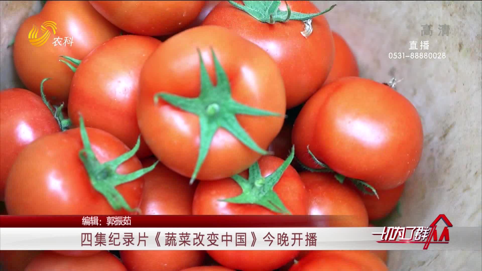 四集纪录片《蔬菜改变中国》今晚开播