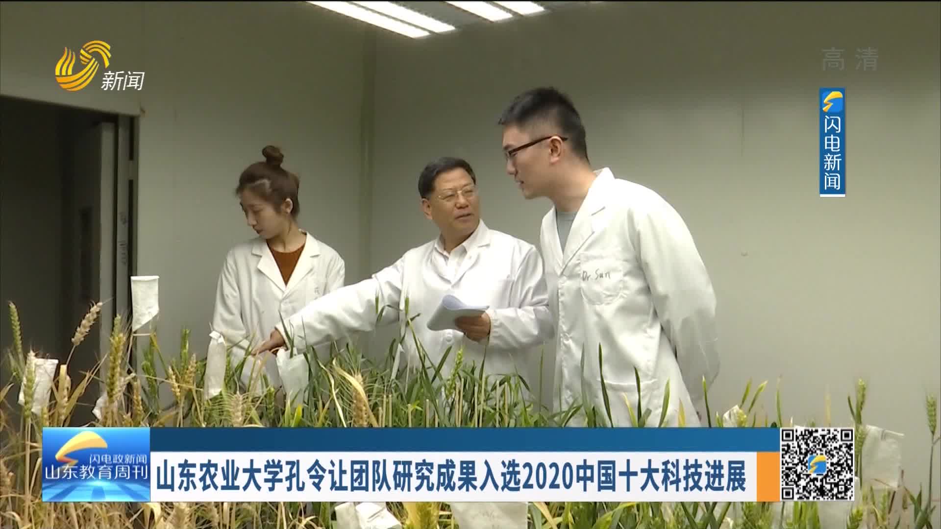 山东农业大学孔令让团队研究成果入选2020中国十大科技进展