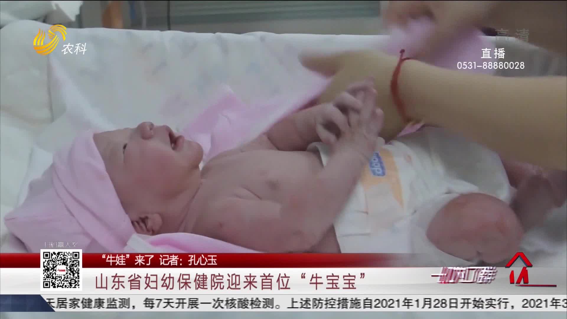 【“牛娃”来了】山东省妇幼保健院迎来首位“牛宝宝”