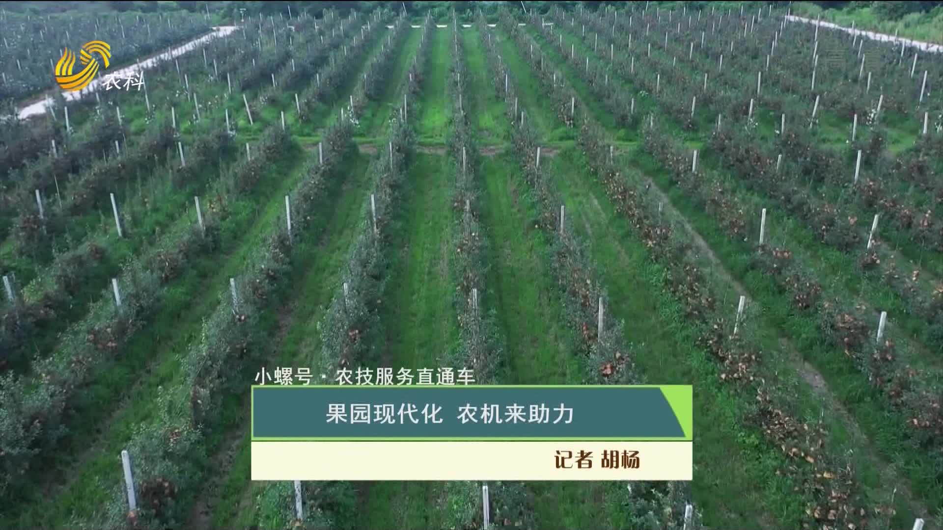 【小螺号·农技服务直通车】果园现代化 农机来助力