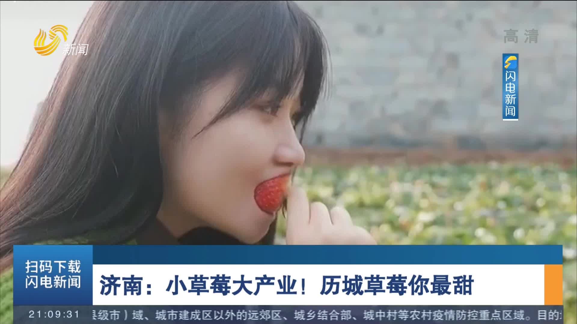 济南：小草莓大产业！历城草莓你最甜