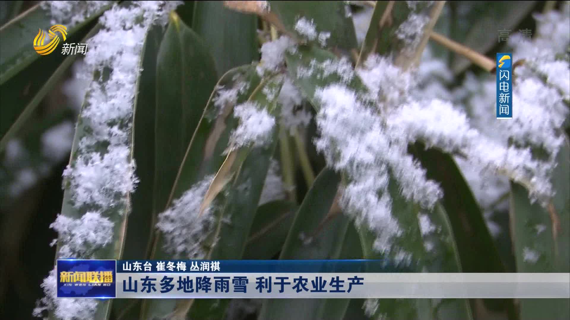 山东多地降雨雪 利于农业生产