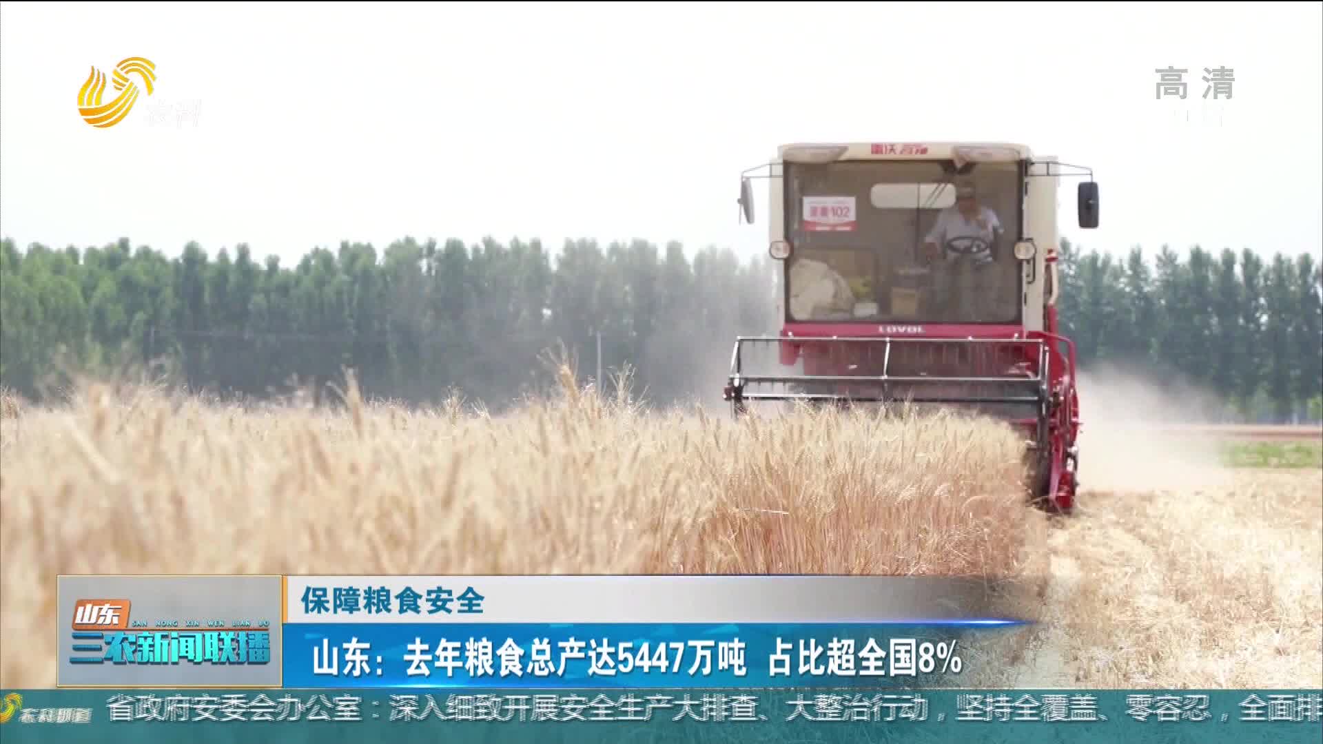 【保障粮食安全】山东：去年粮食总产达5447万吨 占比超全国8%
