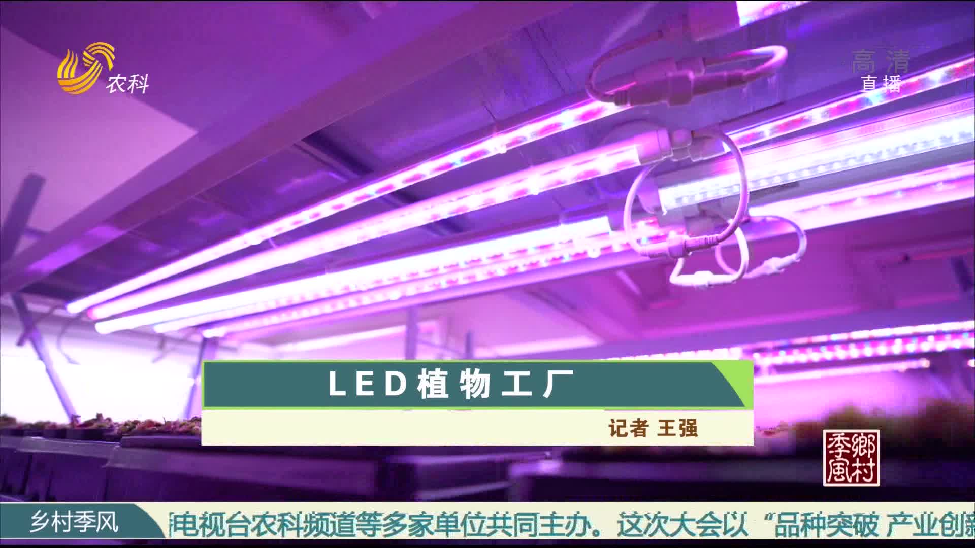 LED植物工厂