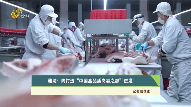【齐鲁畜牧】潍坊：向打造“中国高品质肉类之都”进发