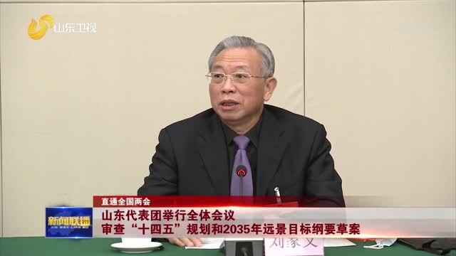 【直通全国两会】山东代表团举行全体会议 审查“十四五”规划和2035年远景目标纲要草案