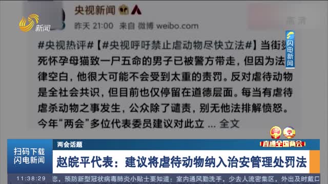 【两会话题】赵皖平代表：建议将虐待动物纳入治安管理处罚法