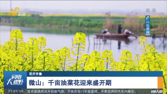 【花开齐鲁】微山：千亩油菜花迎来盛开期