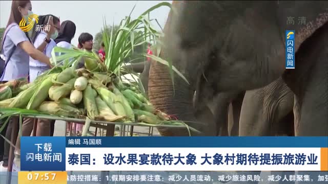 泰国：设水果宴款待大象 大象村期待提振旅游业