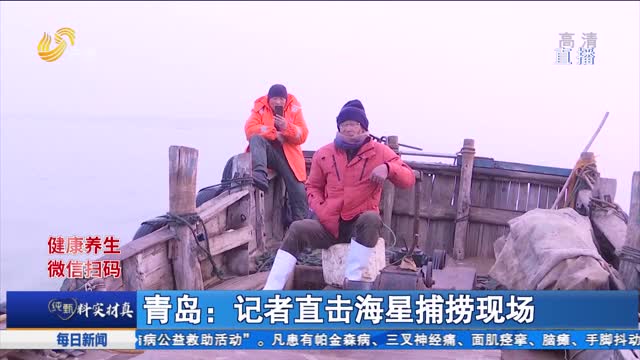青岛：记者直击海星捕捞现场