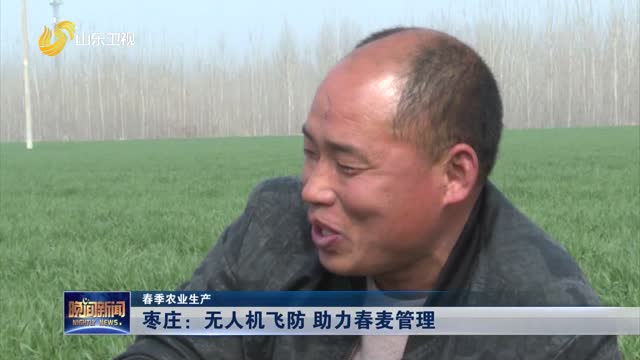 【春季农业生产】枣庄：无人机飞防 助力春麦管理