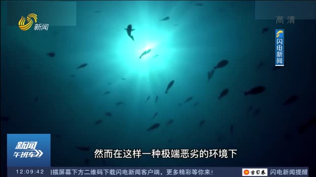 浙大研发中国“怪鱼” 可下潜全球最深万米海沟