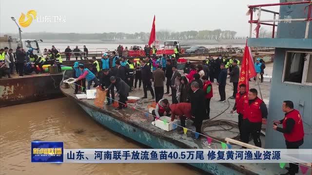 山东、河南联手放流鱼苗40.5万尾 修复黄河渔业资源