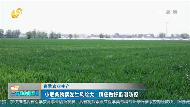 【春季农业生产】小麦条锈病发生风险大 积极做好监测防控