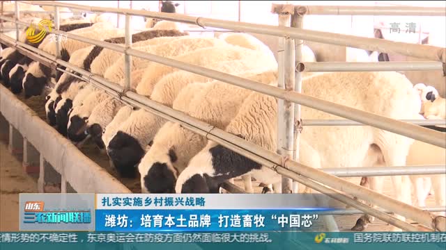 【扎实实施乡村振兴战略】潍坊：培育本土品牌 打造畜牧“中国芯”