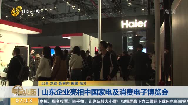 山东企业亮相中国家电及消费电子博览会